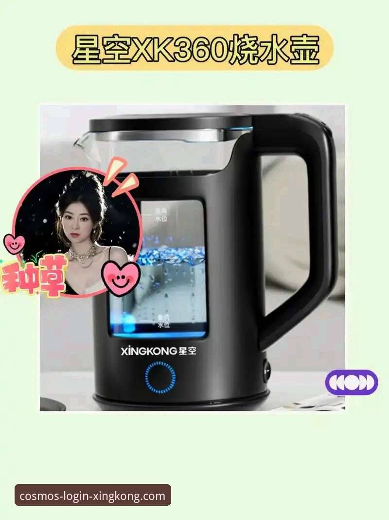 星空XINGKONG进入方法功能详解 星空体育平台:星空XINGKONG官方登录与功能使用全教程